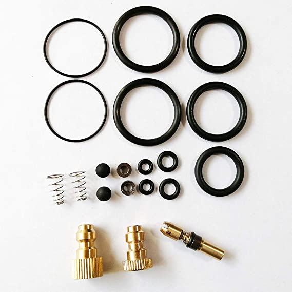 Seal and O-ring rebuild kit